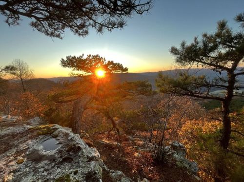 Sunset view through trees on a rocky outcrop, with warm colors illuminating the landscape and distant mountains.