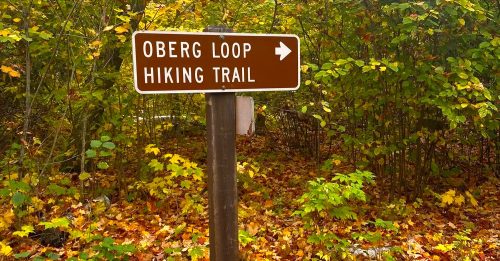 A brown sign points to the Oberg Loop Hiking Trail, surrounded by colorful autumn foliage and fallen leaves.