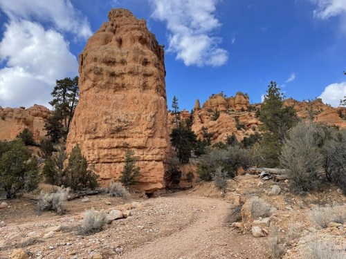 A rocky landscape with towering red formations, scattered trees, and a clear blue sky with fluffy clouds.