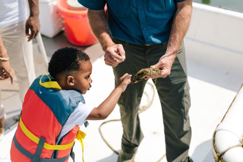 A child in a life jacket reaches out to touch a turtle held by an adult on a boat.