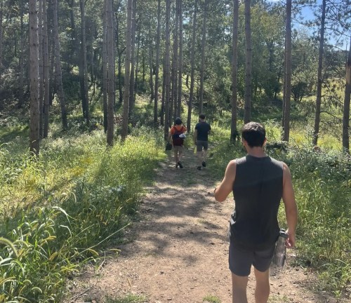 Three people walking on a dirt path through a forest of tall trees and greenery on a sunny day.
