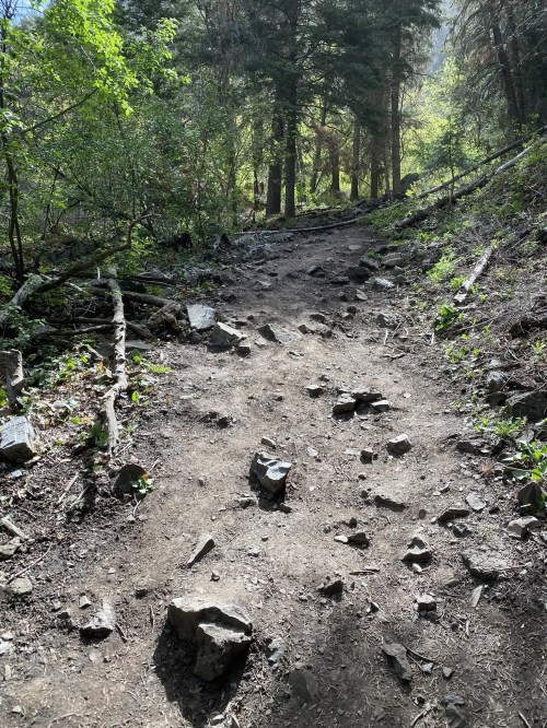 A rocky dirt trail winding through a forest with green foliage and sunlight filtering through the trees.