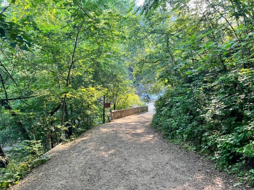 A sunlit dirt path winding through lush green trees, leading to a wooden bridge in a serene natural setting.