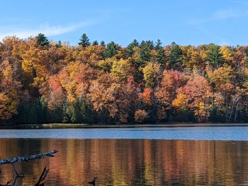 A serene lake reflecting vibrant autumn foliage and a clear blue sky, surrounded by colorful trees.