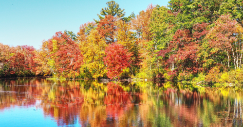 a pond surrounded by the colors of fall reflecting in the water at white mill park in pascoag rhode island