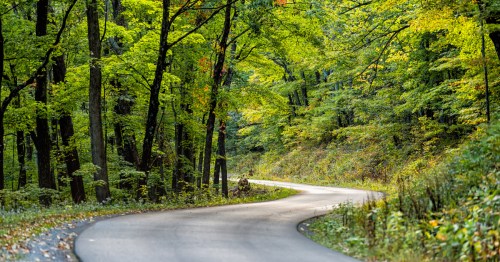 A country road in West Virginia weaves throughout a vibrant green forest.