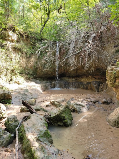 A serene forest scene featuring a small waterfall cascading over rocks into a sandy area surrounded by greenery.