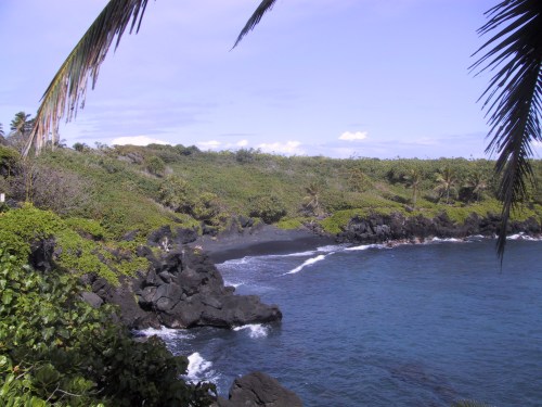 A serene coastal view featuring black rocks, lush greenery, and gentle waves under a clear blue sky.