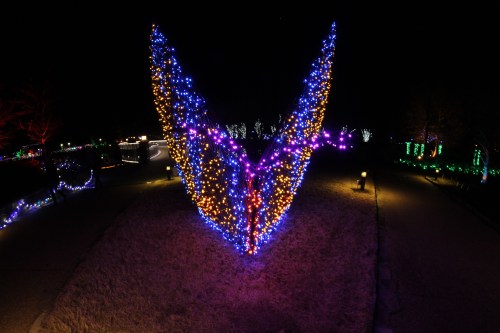 A large, illuminated sculpture shaped like a butterfly, adorned with colorful lights in a dark garden setting.