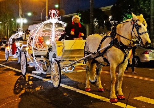 A festive horse-drawn carriage decorated with lights, carrying passengers, with a driver in a Santa hat.