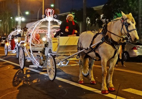 A decorated horse-drawn carriage with lights, driven by a person in festive attire, on a city street at night.