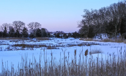 A serene winter landscape with snow-covered fields, tall grasses, and trees under a soft pastel sky at dusk.