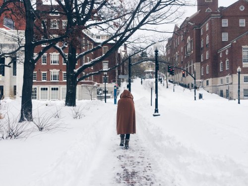 A person in a brown coat walks through a snowy path lined with trees and buildings, with traffic lights in the background.