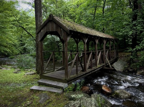 A wooden covered bridge over a stream, surrounded by lush green trees and rocky terrain.
