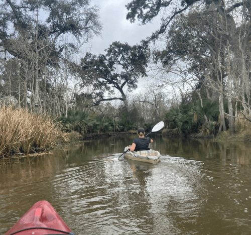A person paddles a kayak through a calm, tree-lined waterway surrounded by tall grass and palm trees.