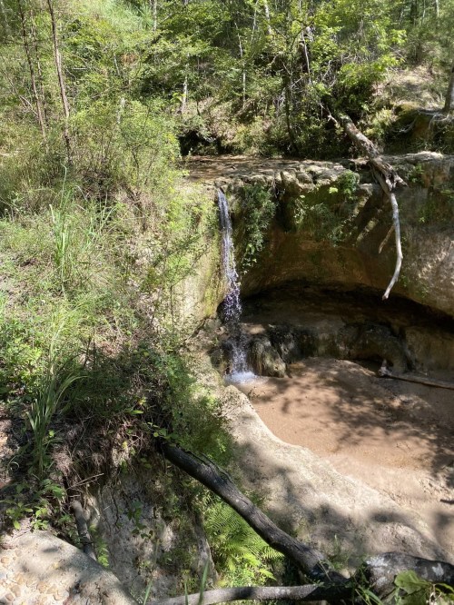 A small waterfall cascades into a rocky pool, surrounded by lush greenery and trees in a serene natural setting.
