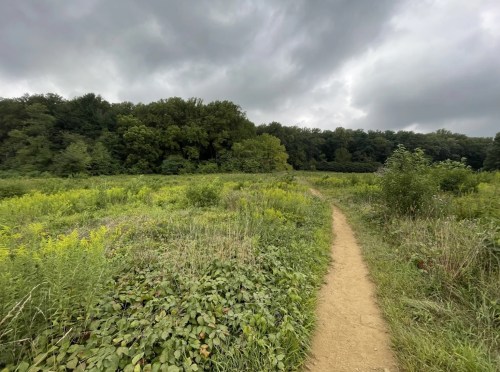 A dirt path winds through a lush green field under a cloudy sky, leading towards a wooded area in the distance.