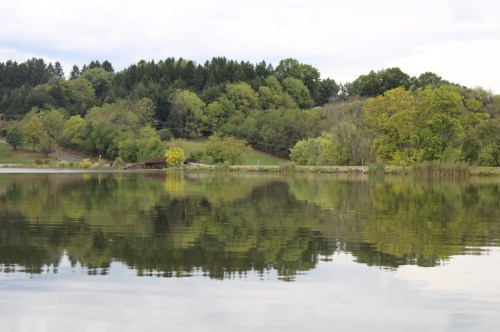 A serene lake reflecting lush green trees and a cloudy sky, with a wooden bridge in the background.