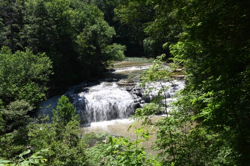 A serene waterfall cascading through lush green trees and foliage in a natural setting.