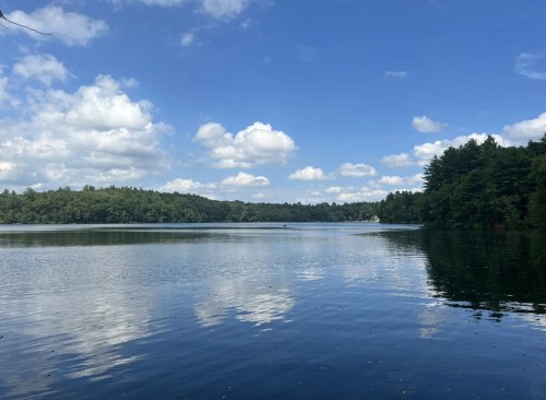A serene lake surrounded by lush greenery and blue skies with fluffy clouds reflecting on the water's surface.