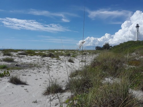 A sandy beach with tall grass, a lighthouse in the distance, and fluffy clouds in a blue sky.