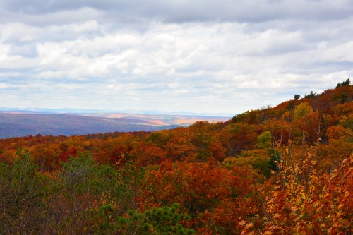 A panoramic view of a vibrant autumn landscape with colorful foliage under a cloudy sky.