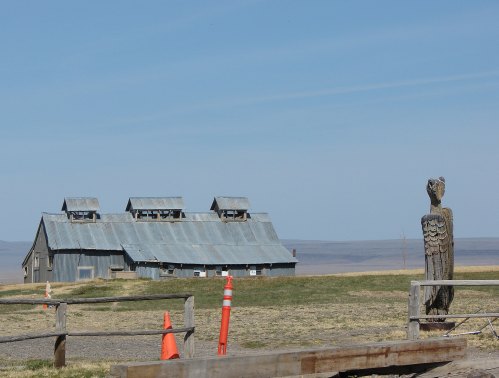 A weathered barn with a metal roof stands in a grassy field, alongside a wooden sculpture and orange traffic cones.