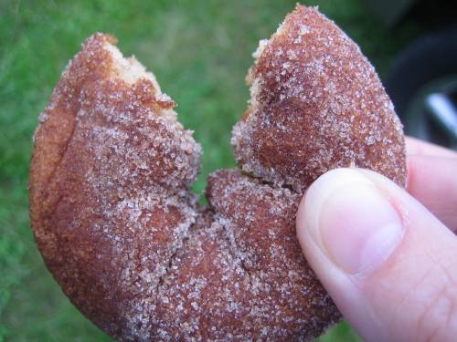 A hand holding a partially bitten cinnamon sugar donut against a green background.