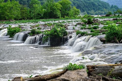 A serene waterfall cascades over rocks, surrounded by lush greenery and fallen logs along a riverbank.