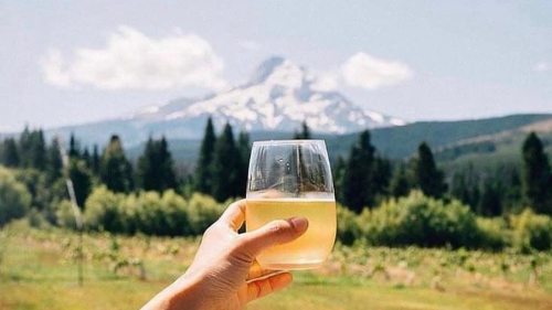 A hand holding a glass of wine in front of a scenic mountain landscape with trees and a blue sky.
