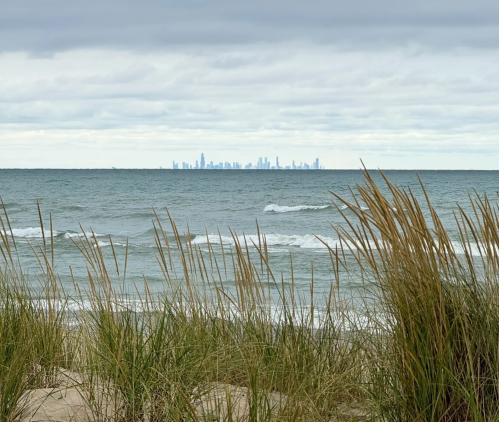 A view of a city skyline across the water, framed by tall grass and gentle waves under a cloudy sky.