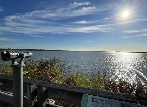 A scenic view of a calm lake under a bright sun, with a telescope and colorful foliage in the foreground.