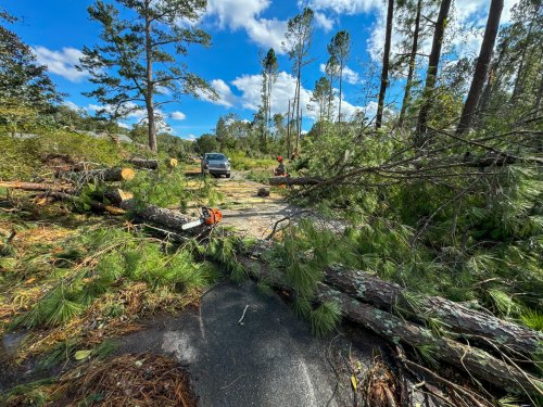 A truck parked on a road blocked by fallen trees and branches, with workers clearing debris under a blue sky.