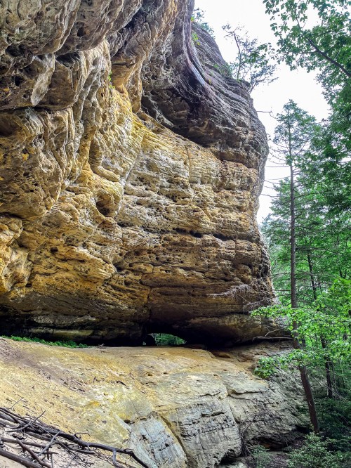 A large, weathered rock formation surrounded by trees, showcasing unique textures and colors in a natural setting.