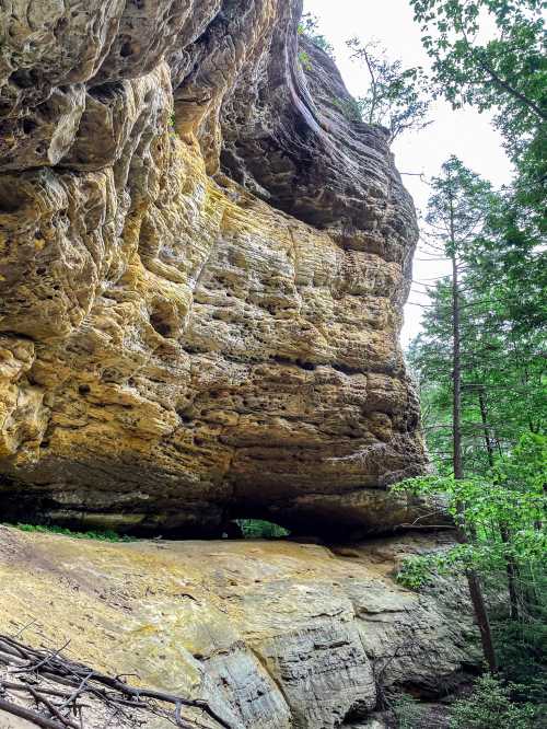 Explore the Mesa Top Trail in Pogue Creek Canyon, TN