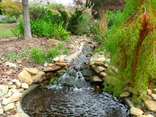 A serene garden scene featuring a small stream flowing over rocks, surrounded by lush greenery and plants.