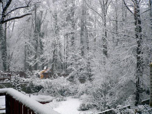 A snowy landscape with trees covered in white, creating a serene winter scene.