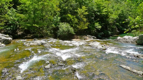 A serene river flows over rocks, surrounded by lush green trees and foliage in a peaceful natural setting.