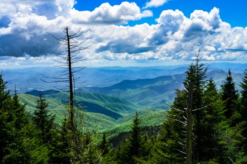 A panoramic view of lush green mountains under a bright blue sky with fluffy clouds.