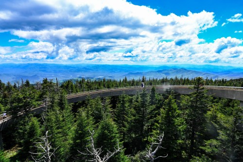 A scenic view from a mountain overlook, featuring a winding walkway surrounded by lush trees and distant blue mountains.