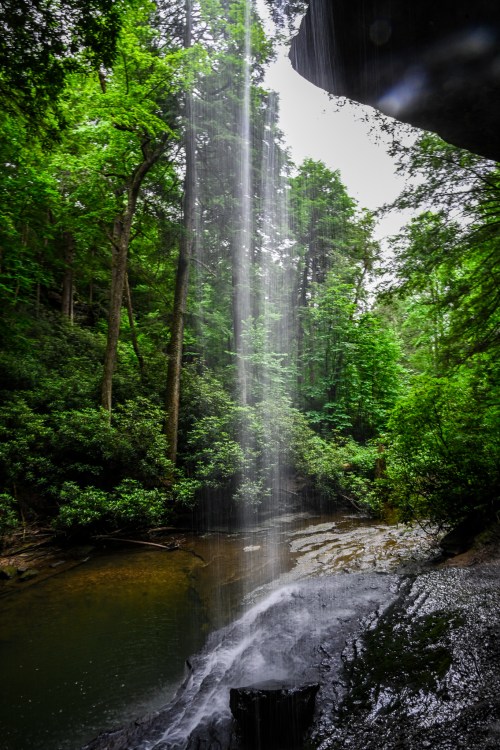A serene waterfall cascades into a tranquil pool, surrounded by lush green trees and rocky terrain.