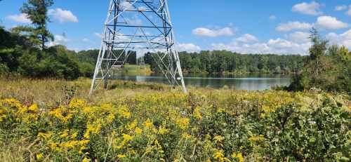 A scenic view of a lake surrounded by greenery and wildflowers, with a power tower in the foreground under a blue sky.