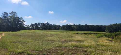 A sunny landscape featuring a grassy field with trees in the background and a clear blue sky.