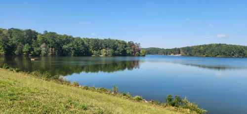 A serene lake surrounded by lush green trees under a clear blue sky, reflecting the landscape on the water's surface.