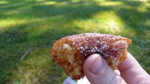 A hand holding a piece of cake with a sugary topping, set against a grassy background.
