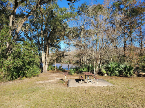 A serene outdoor scene featuring a picnic area with tables, surrounded by trees and a view of a calm water body.