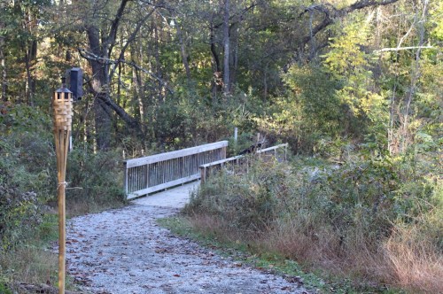 A wooden bridge over a path surrounded by trees and greenery, with a tiki torch on the left.