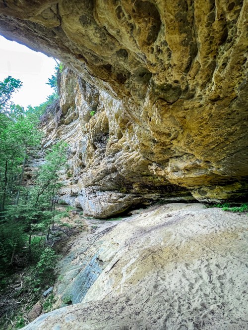 A rocky cave entrance surrounded by lush greenery and sandy ground, showcasing textured stone formations above.