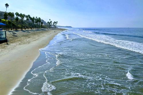A serene beach scene with gentle waves, palm trees lining the shore, and a clear blue sky.