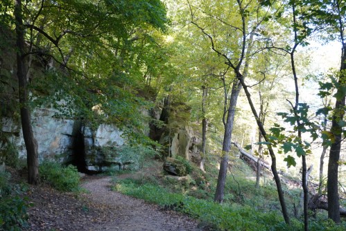 A serene forest path leads through lush greenery and rocky outcrops under a bright blue sky.